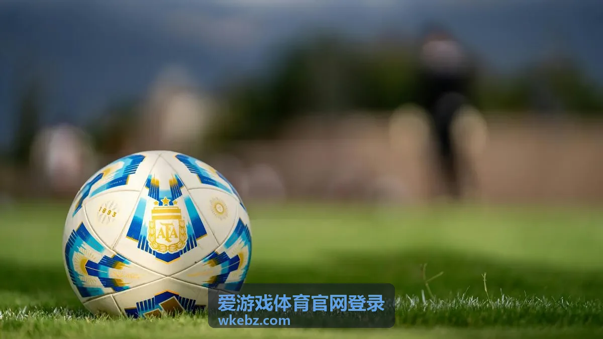 爱游戏体育官网登录手机与电脑端登录示意图